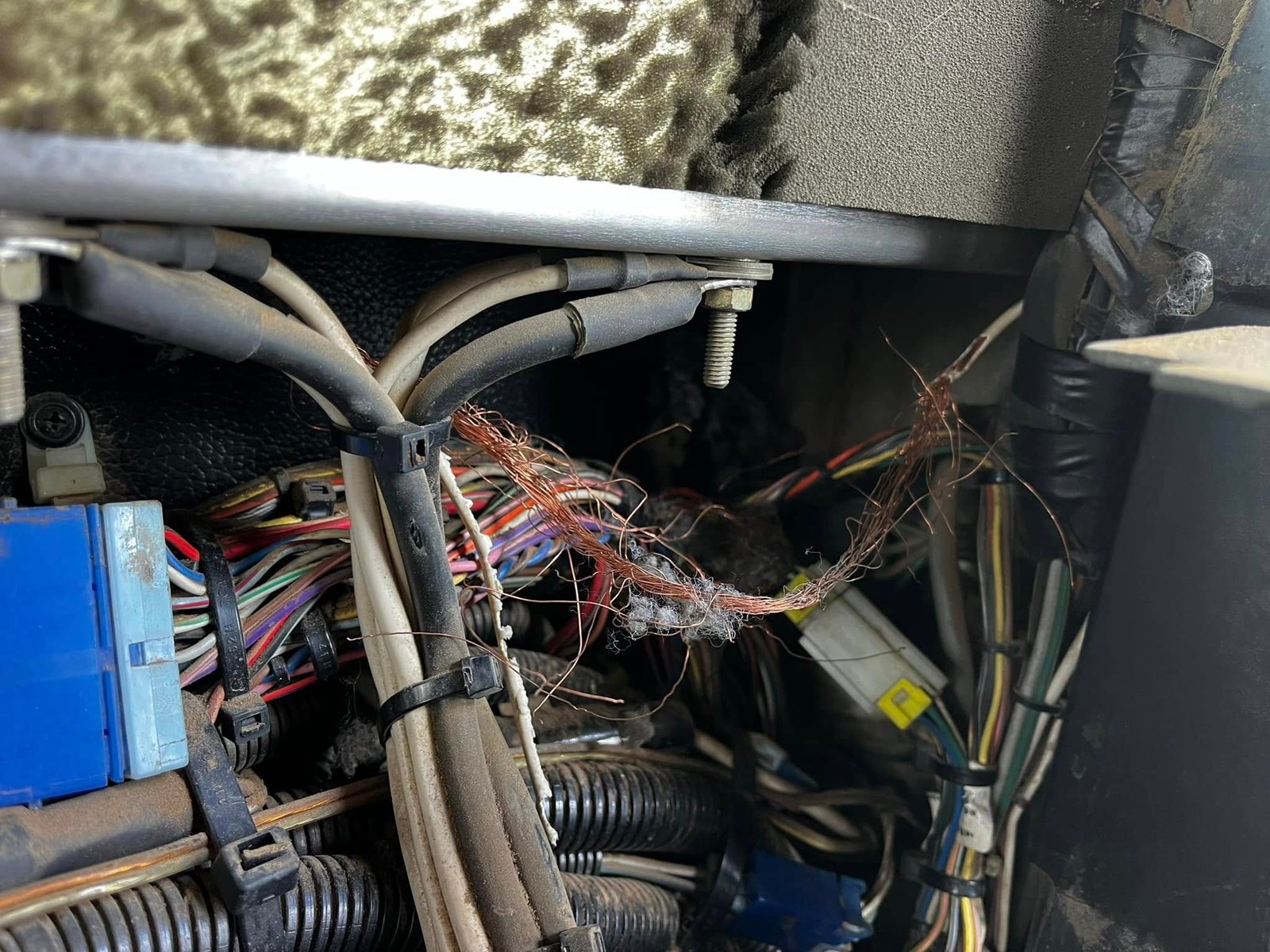 Vehicle wiring detail from Flippa's Auto Electrics & Refinishing